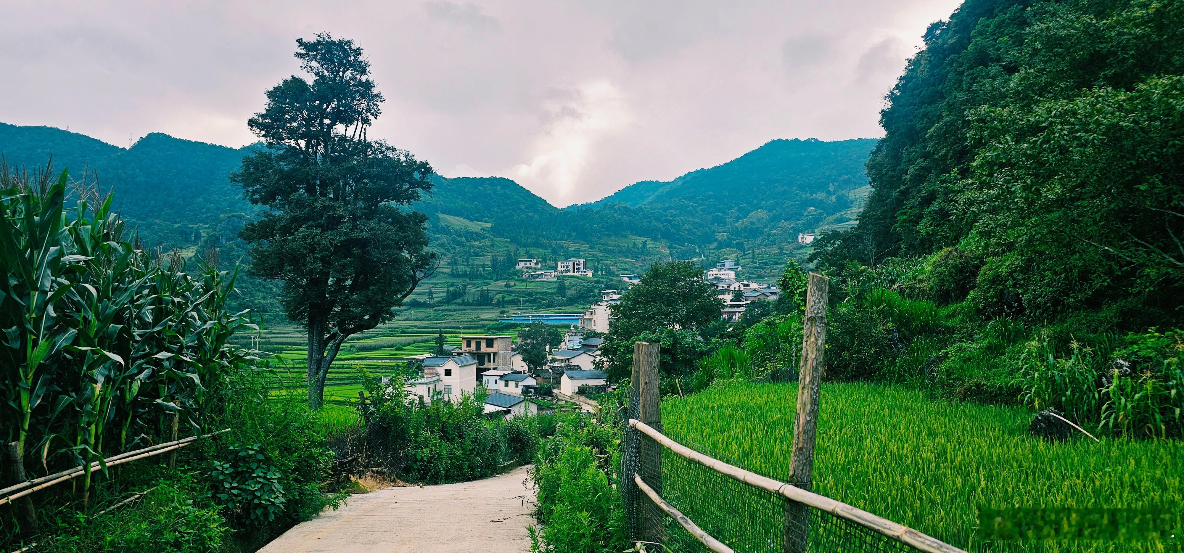 #点赞云南##外国网友怀疑中国农村是AI##七彩云南多彩文山##文山[超话]#
刷到外国网友热议“中国农村是AI生成的”，作为在扎根云南基层的驻村工作队队员，忍不住想笑，又觉得无比自豪。😂

外国网友眼里“完美得不真实”的青山绿水、白墙黛瓦、村村通公路、太阳能路灯、网络畅通电商繁荣，其实就是乡 ​