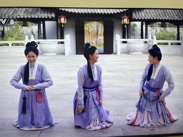 二十几岁了，谁选他们给袁侯爷做妾？