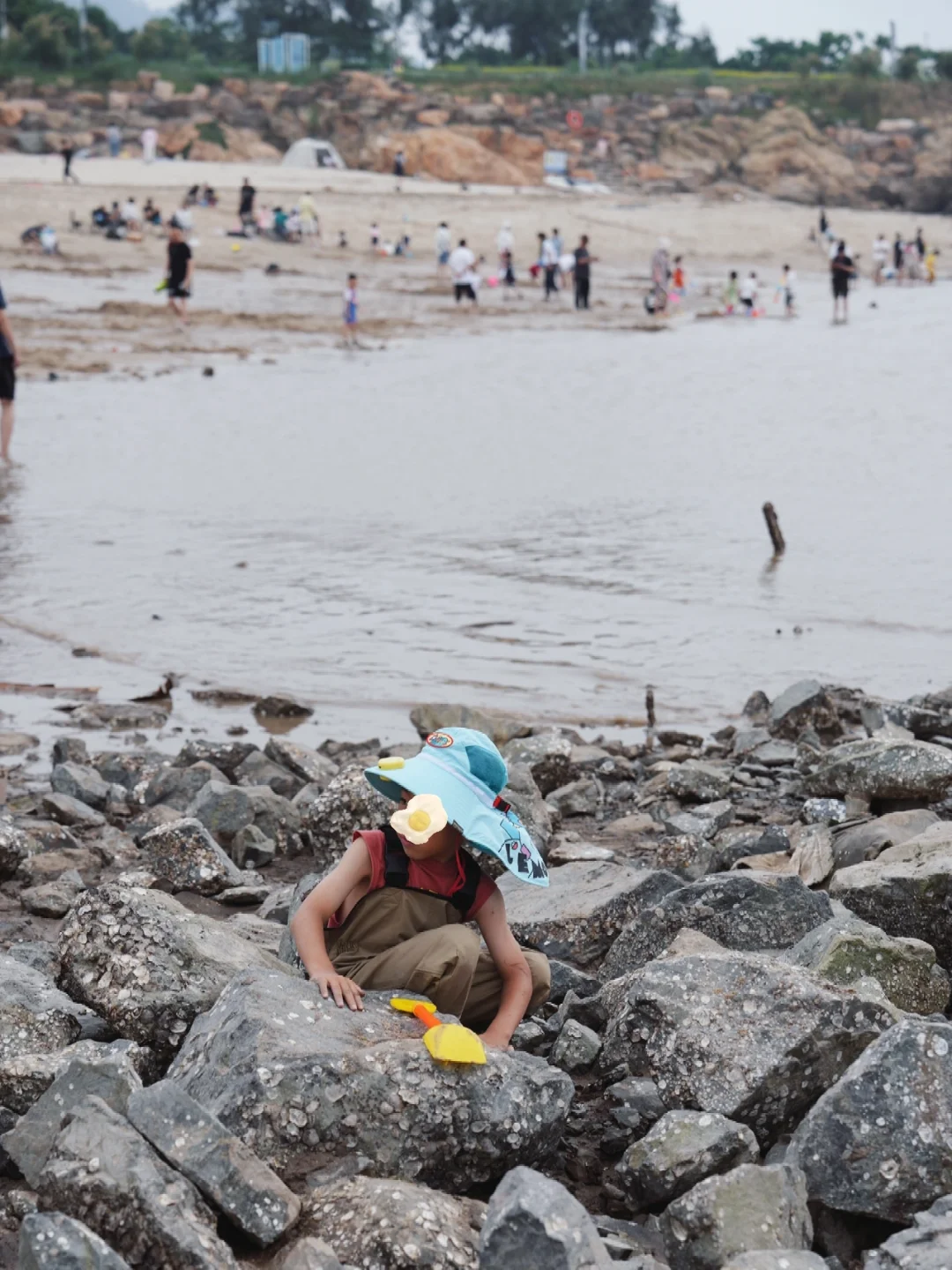 温州｜去洞头同心公园挖沙子结果赶海赶飞起