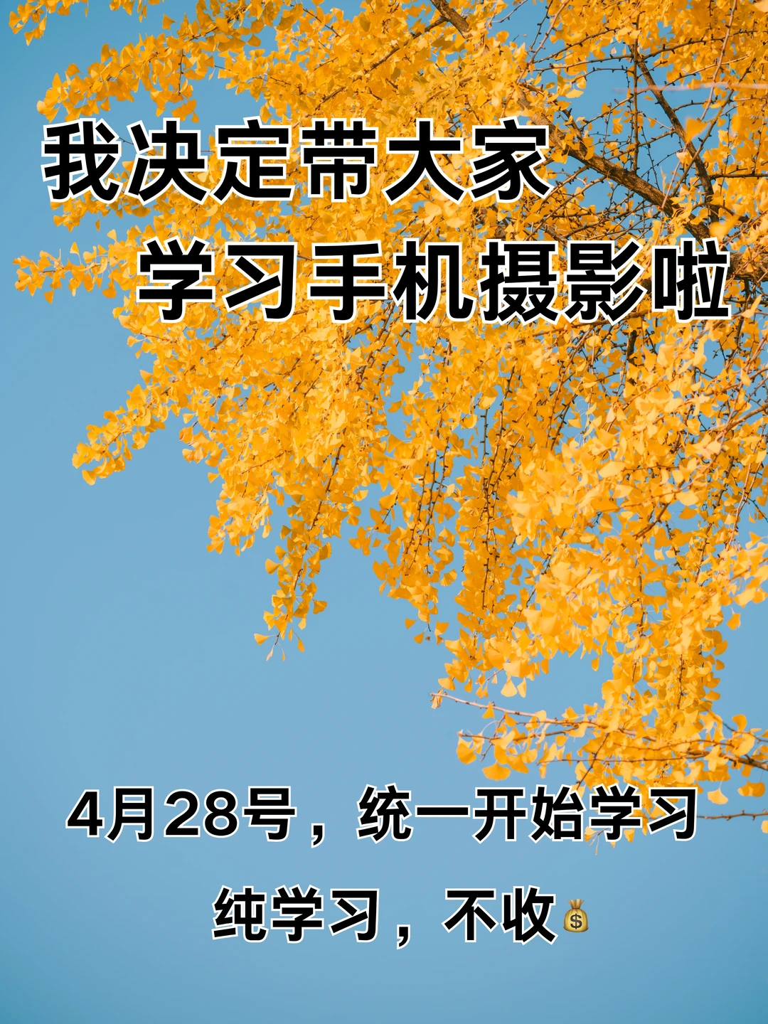 我决定带大家学习手机摄影啦！！