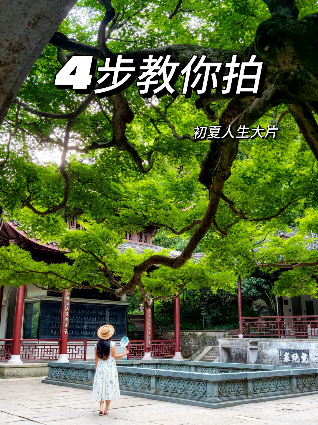 杭州就是一个绿色能量场四步教你拍人生大片