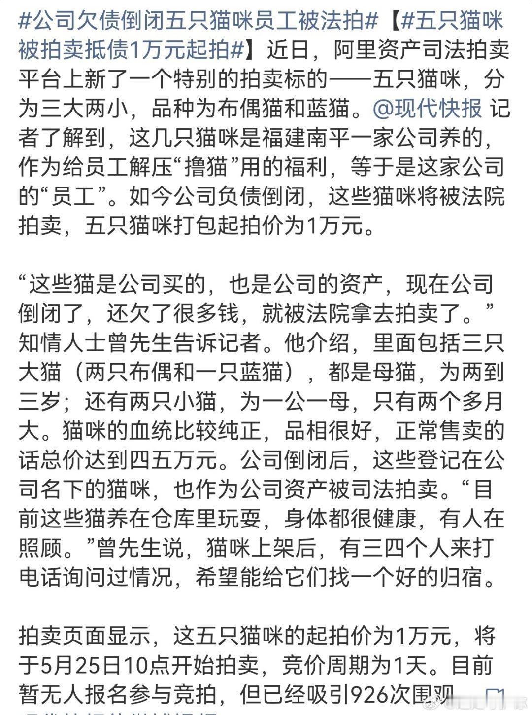 15只幼猫被司法拍卖这件事，看着让人心里不是滋味。猫咪在法律上属于可以处置的财产，法院依规执行没有问题，但它们又是鲜活的小生命。
单只起拍价2100元，这场拍卖不只是财产清偿，也牵扯到后续喂养、健康保障的现实问题。希望竞拍者是真正有责任心、有饲养条件的人，别让这些小家伙再经历辗转流离。 ​