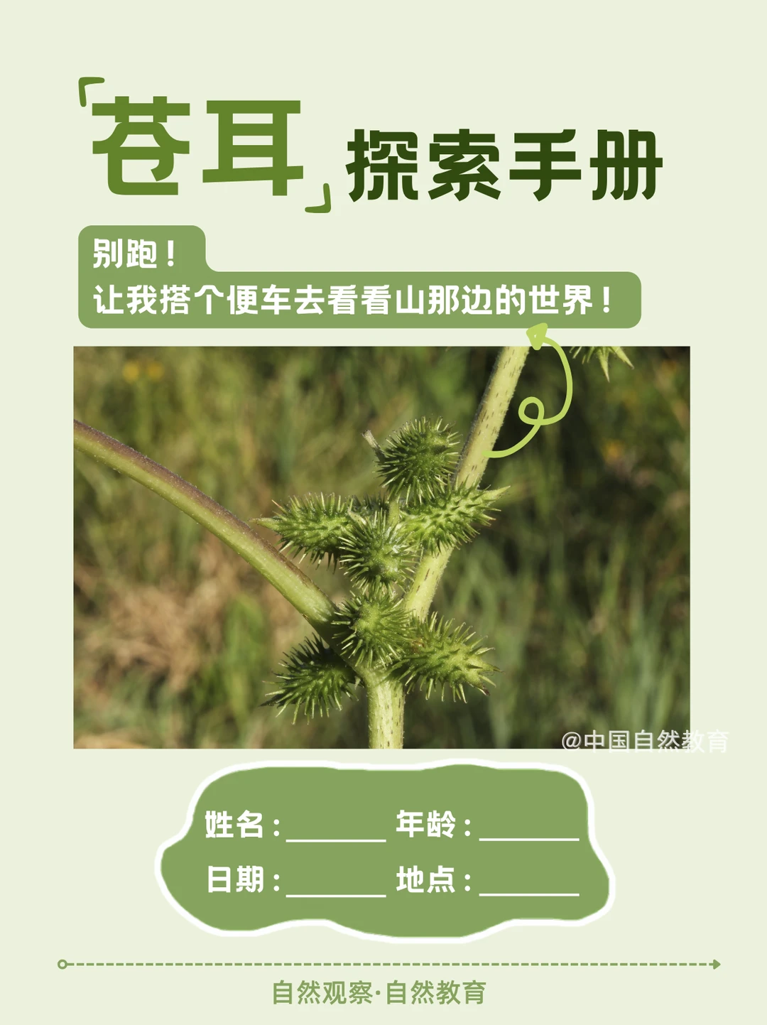 自然教育 | 植物界的 “搭便车大师”