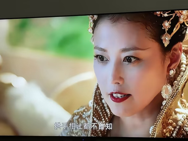 2026 我开始看香蜜沉沉了