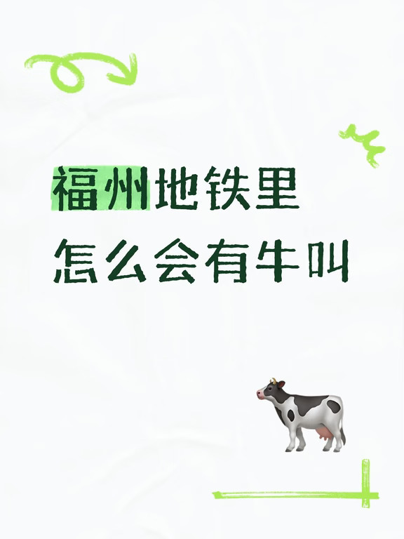 每次都吓我一跳