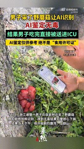 近日，台风过后野蘑菇疯长，浙江诸暨的王师傅在自家附近采了些，还特意拍照让AI鉴定——结果显示“无毒”，王师傅放心大胆煮了吃。结果下午5点就开始狂跑厕所、水样便5次、双上肢酸痛、全身像被抽空了力气。送医后检查，王师傅的肌酸激酶高达28771U/L，高出正常值的100倍，酸中毒、高乳酸血症接踵而至 ​