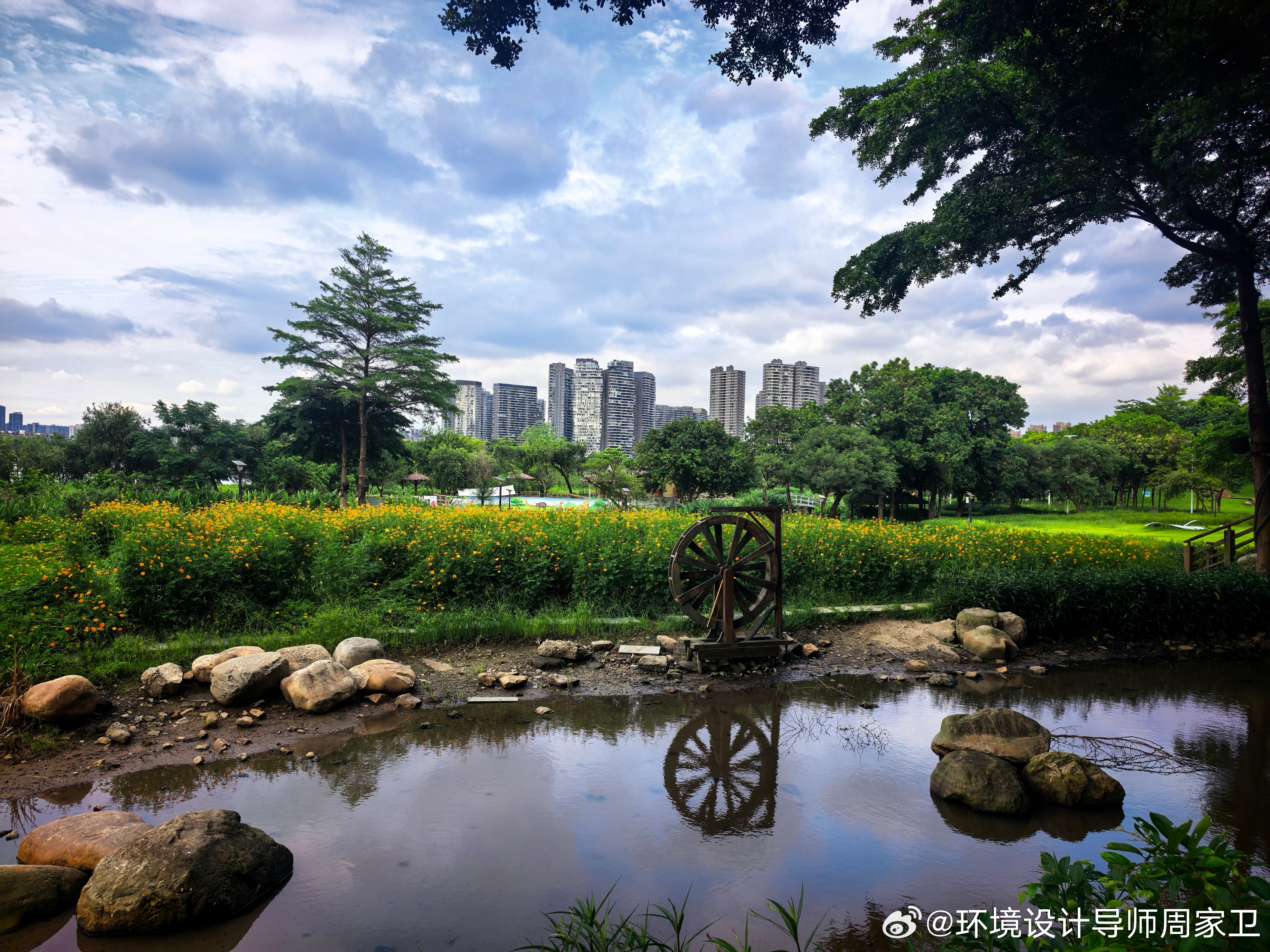 今日天气太好了，凉爽的很