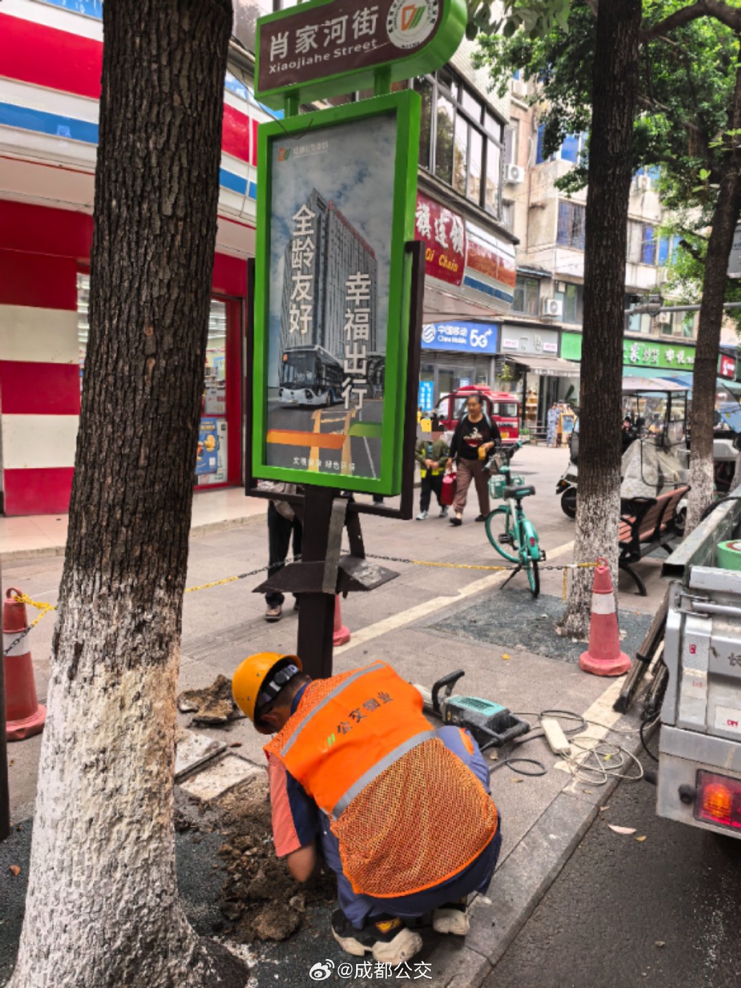 🚌适老化微改造进行中
#公交物业# 优化公交站牌，降低高度、放大线路文字，方便老年乘客查看。细微升级，温暖出行。#成都公交# #全龄友好 幸福出行# ​