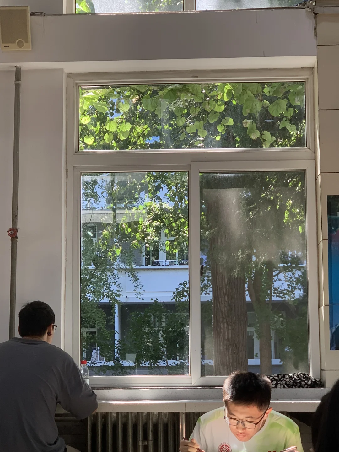 北大的窗景，学的格外起劲🍃