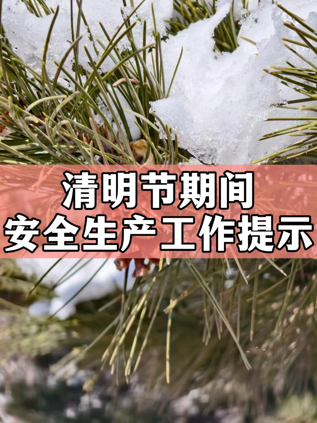 体制内：清明节期间安全生产工作提示
