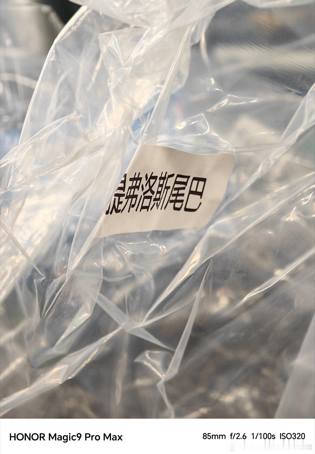 提丰的尾巴，足足有一米长，太大了 ​