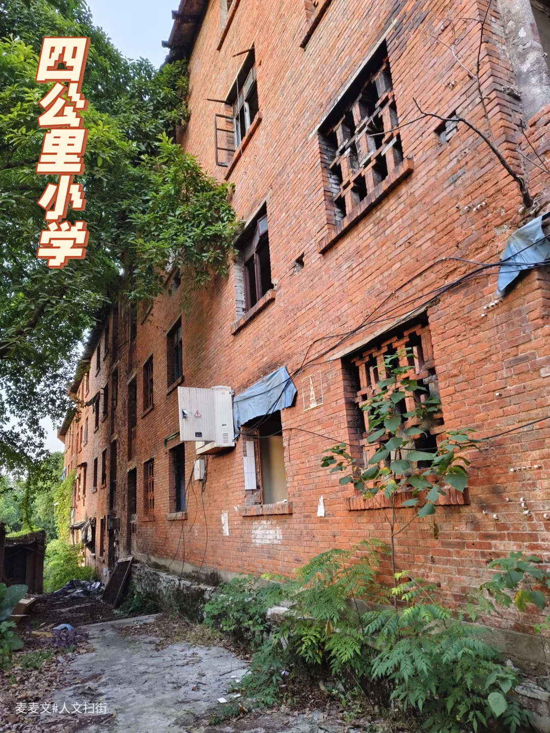 【南岸】四公里小学旁的红砖房人去楼空了