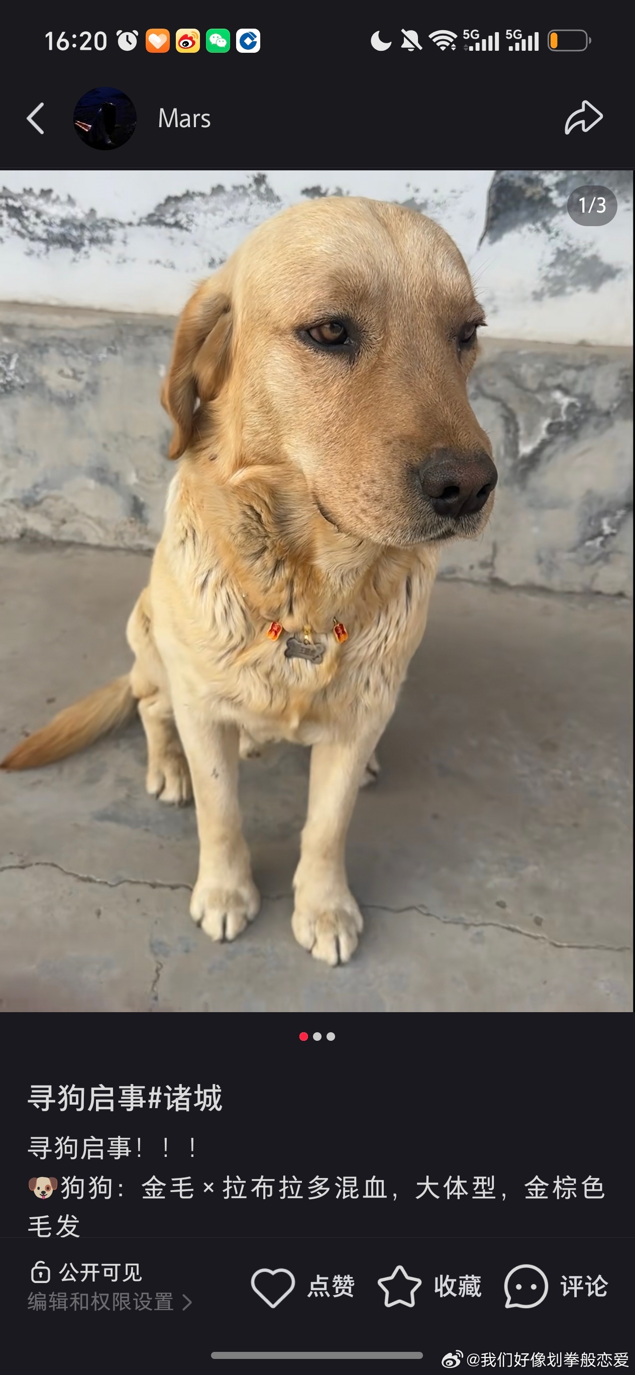 寻狗启事！！！
🐶狗狗：金毛×拉布拉多混血，大体型，金棕色毛发
📍走失地点：诸城市舜王街道柳家庄村
走失时脖子戴着红绳+黄色狗牌！！狗牌正面写名字：王路虎，背面印有手机号18765629279

如有看见、收留、提供有效线索，必有重金答谢！！
📞联系电话：18765629279 13562663191
狗狗性格温顺 ​