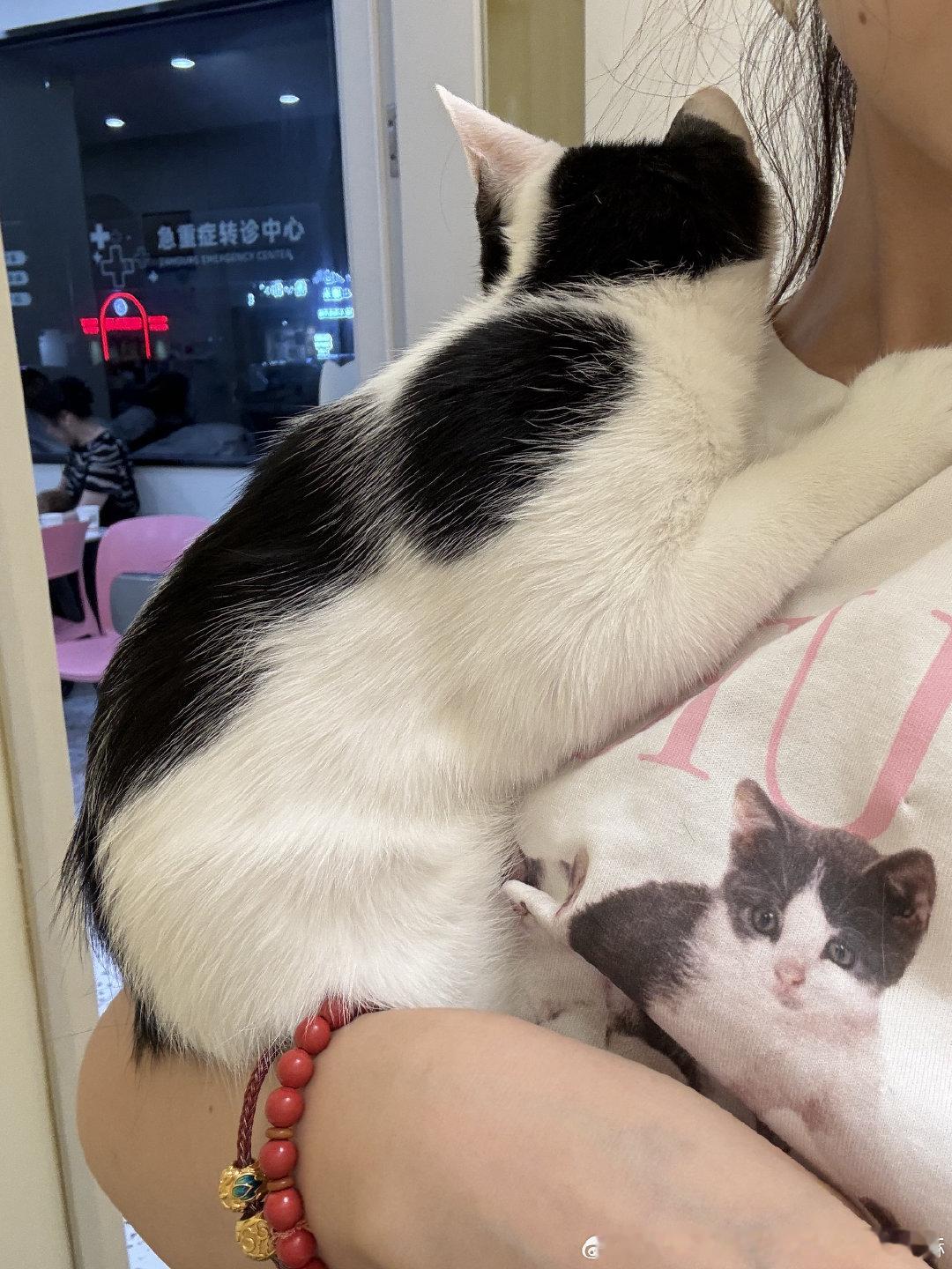 2026的夏天，有奶糖，有姆巴佩～也是很美好的回忆了～
猫猫🐱你要好好的[心] ​