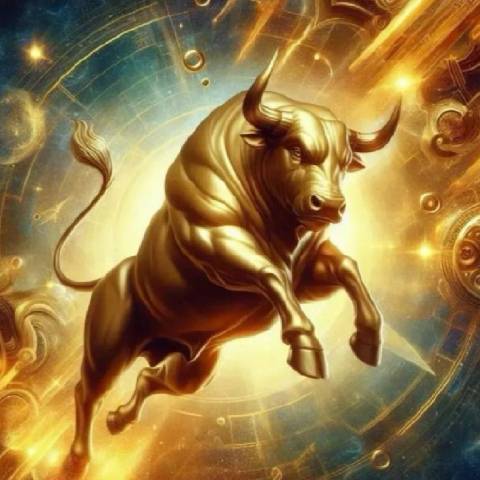 金牛一哥v