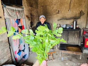 2025年12月19号，传来一个特别不好的消息，意想不到，说你得了癌症...