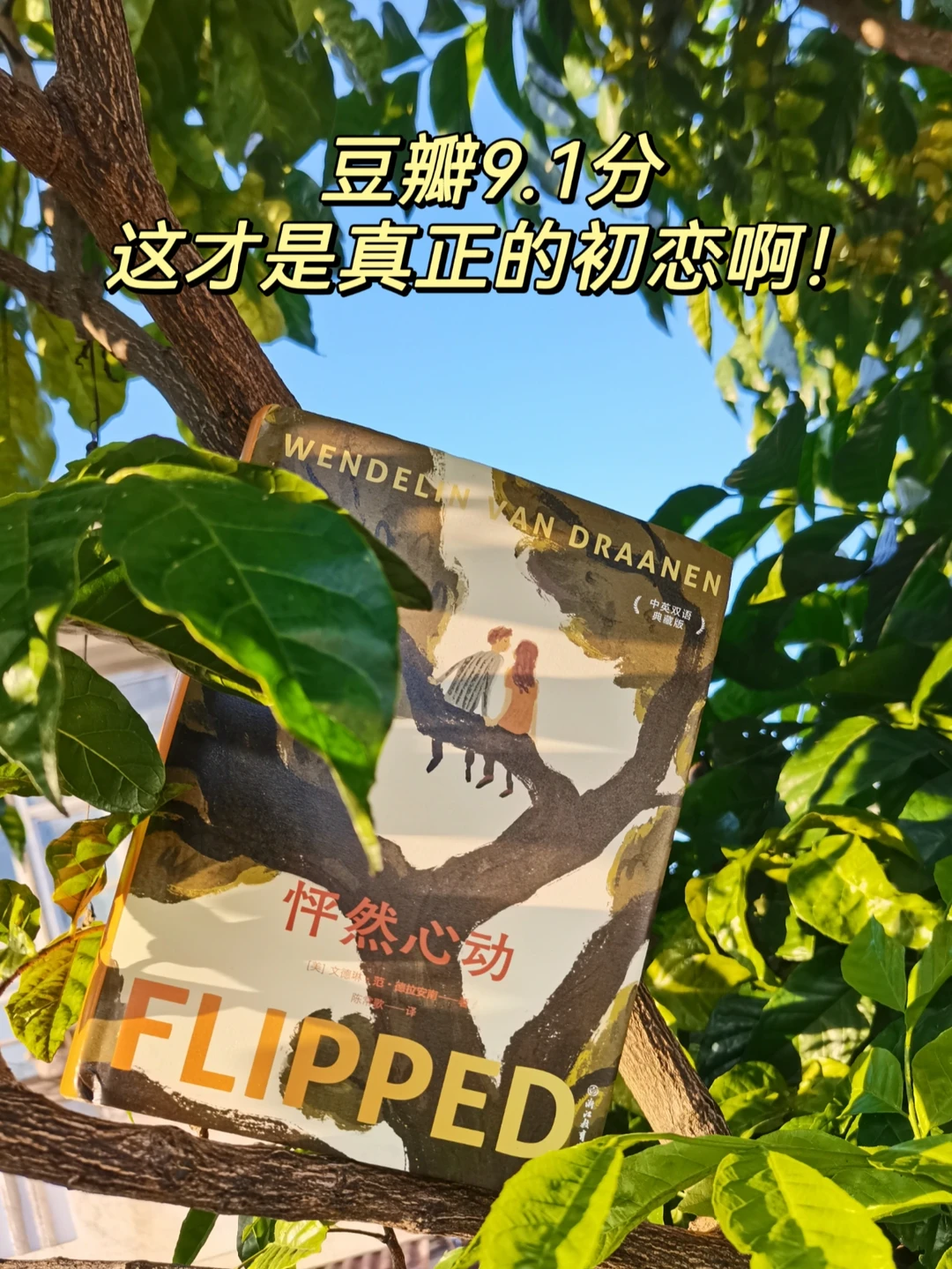 《怦然心动》‖一见钟情，猝不及防的心动