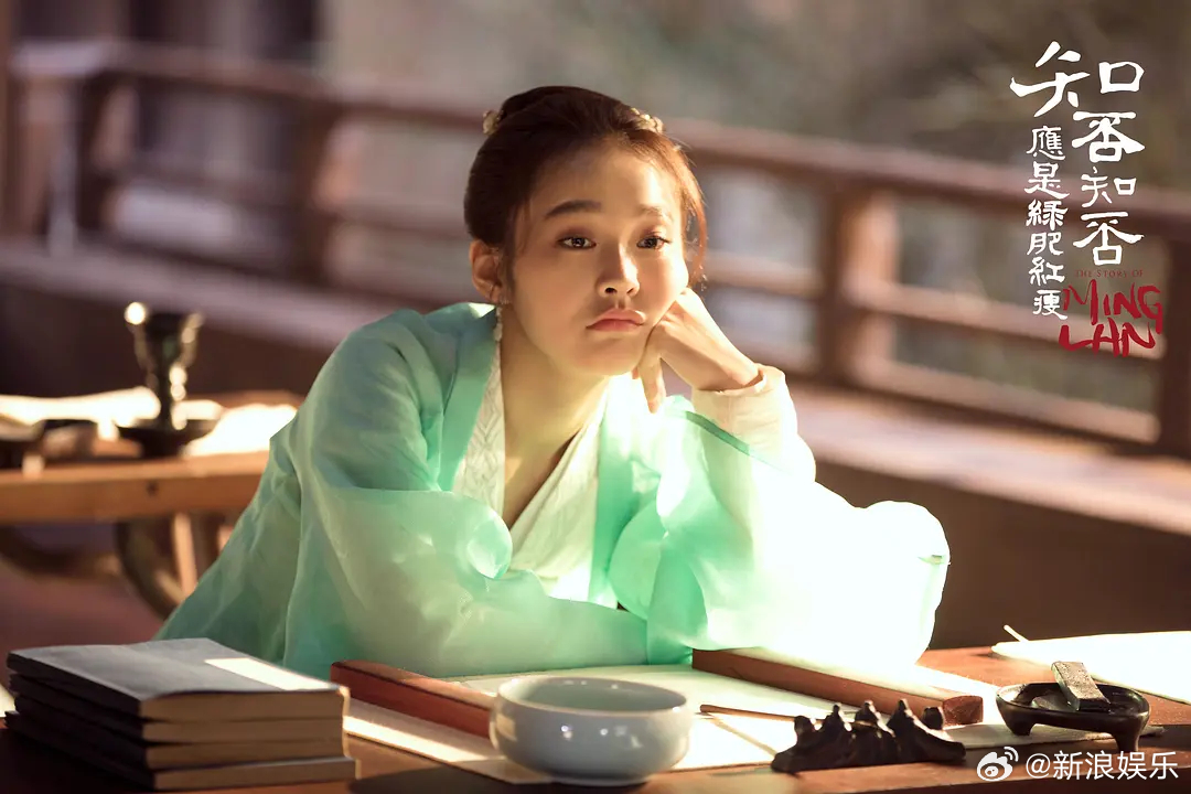 2018年《知否知否应是绿肥红瘦》，张佳宁饰演盛如兰，性格直爽，没有城...