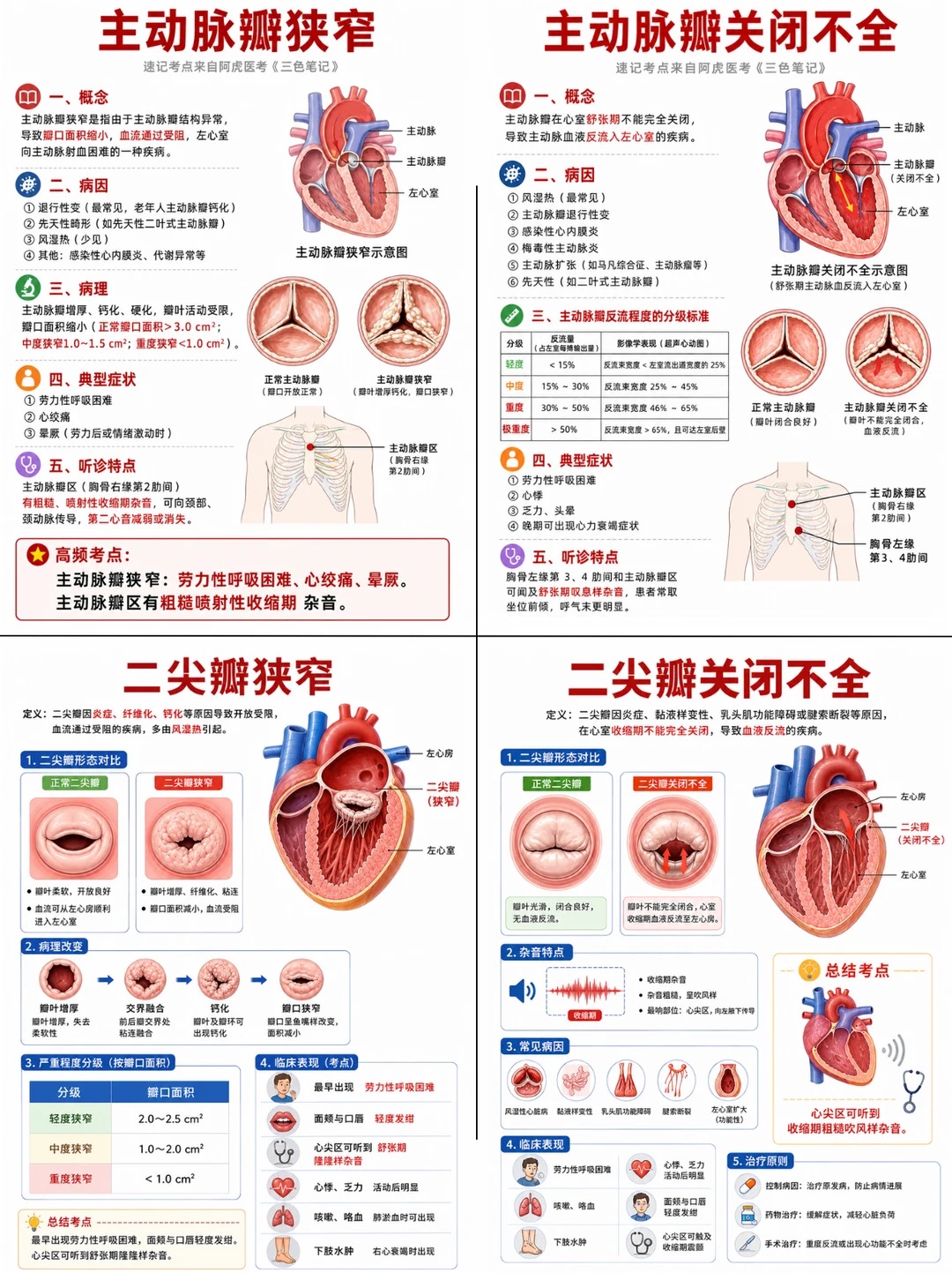 阿虎医考笔记📒图解四种心脏瓣膜病❤️