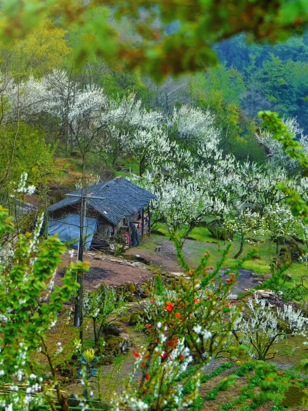 亲测不踩雷！🌸10条超赞的春日赏花徒步路线！