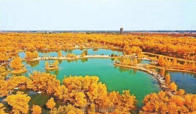遇见甘肃的秋天【全国赏秋地图发布，甘肃两地上榜✨】9 月 22 日，2026 全国国庆文化和旅游消费月主场活动，中国气象局发布全国赏秋指南、金秋朝霞晚霞观赏地图。文旅中国行同城热点创作计划 ✅酒泉金塔县入选全国赏秋指南：大漠之上，金塔沙漠胡杨林迎来最佳观赏期，造型苍劲的胡杨伫立戈壁，诉说岁月沧桑。✅平凉崆峒山入选金秋朝霞晚霞观赏地图：山间红叶漫染，霞光铺撒古刹，一帧帧皆是秋日画卷。气象提示：秋季昼夜温差大，山区易起雾、路面湿滑，出游记得备好保暖衣物，提前查看天气预报，安全赏秋。