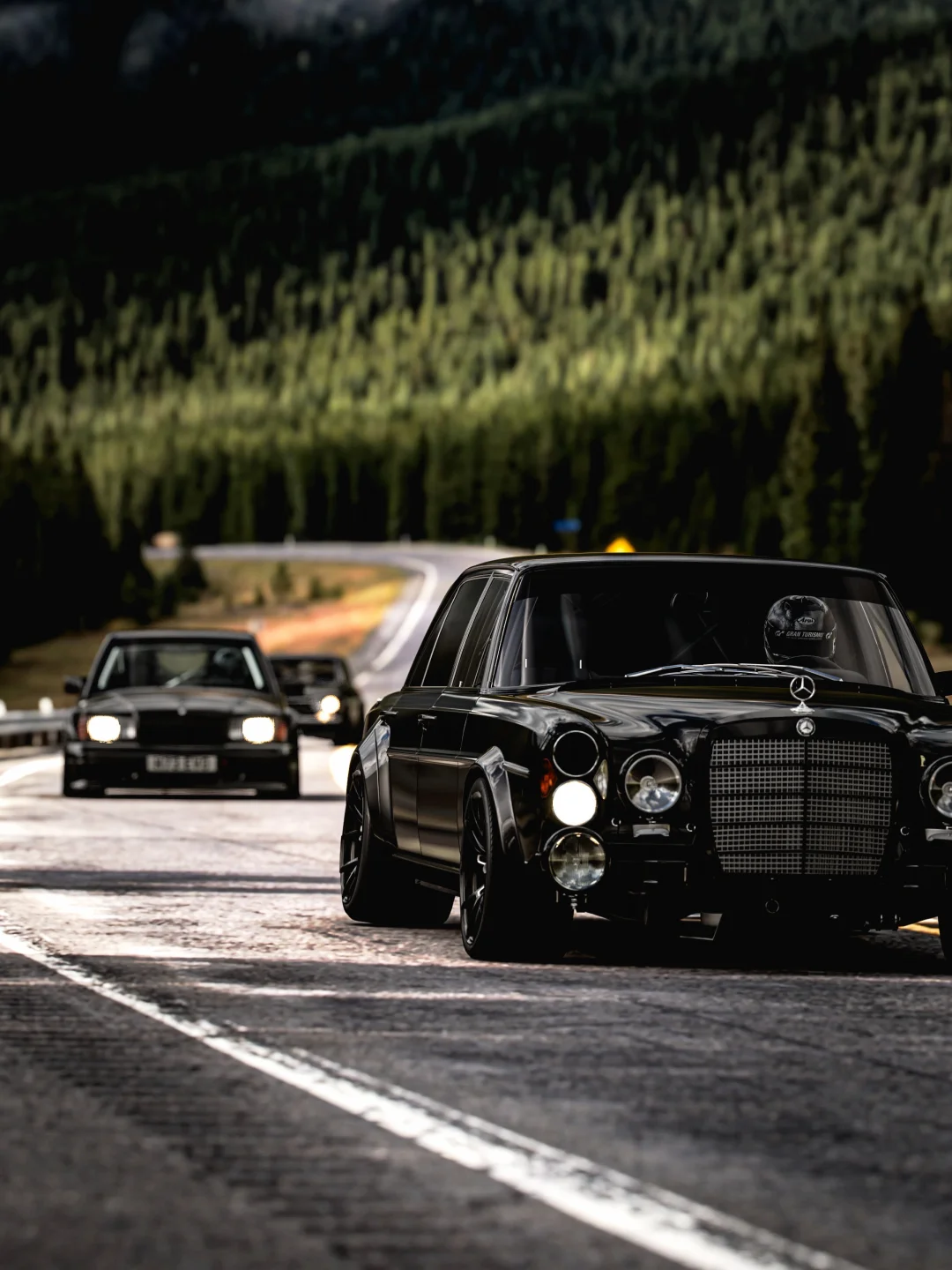 ◼️◾️◼️◾️｜🖤🐷 THE PIG FAMILY.