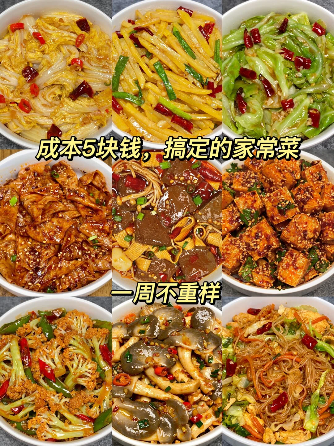 成本五块钱的家常菜