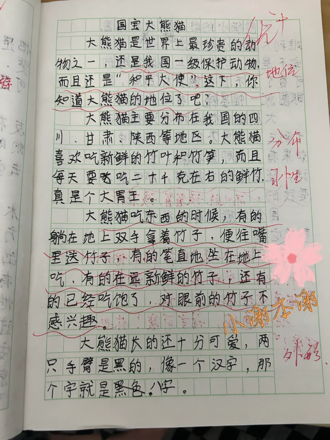 三下语文第七单元《国宝大熊猫》习作