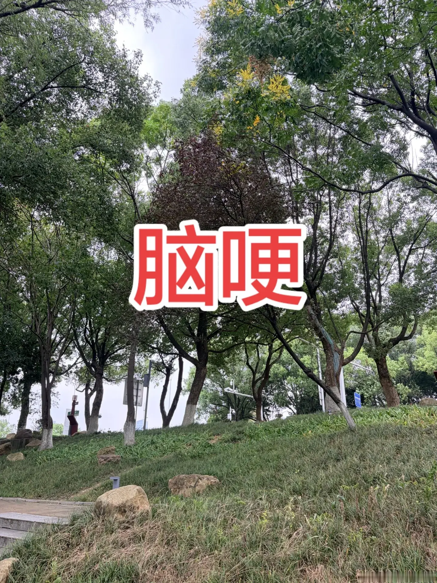 超一流防守大战！丁俊晖极限绝杀凯伦威尔逊，做球解球太精彩了 斯诺克 丁俊晖 精彩片段 防守