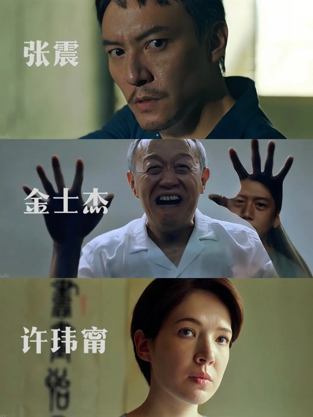 终于来了❗全员熟人❗连环凶鲨❗悬疑破案