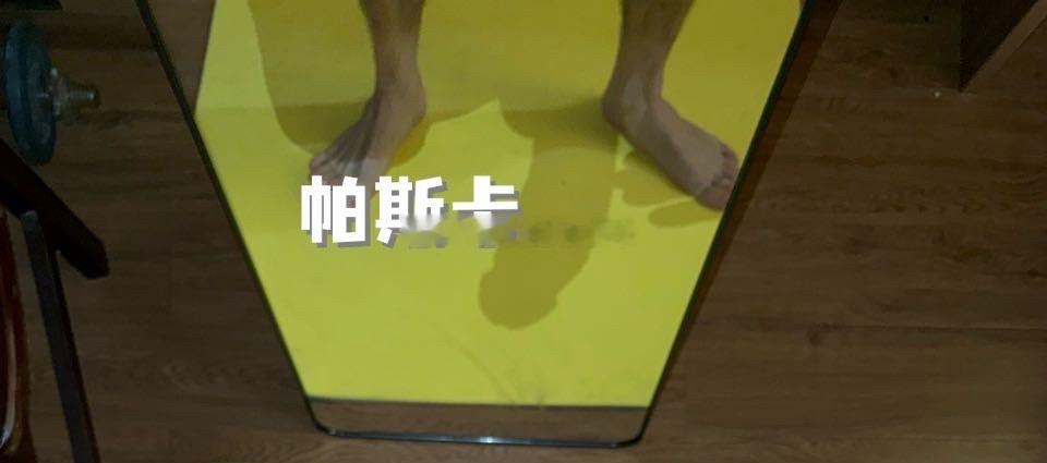 翻到去年拍的jb
以前真的很大啊我焯
现在完全缩水

原图链接： 

食用指南
1 下载夸克app，不是夸克网盘，别弄错了
2 文件夹很多，跟着有帕斯卡名字的一直往里点就找到了
3 保存下载后，把后缀的.zip1或者.dzip改成zip再解压就行。
4 解压可以导入解压软件，导入后解压，苹果的可 ​