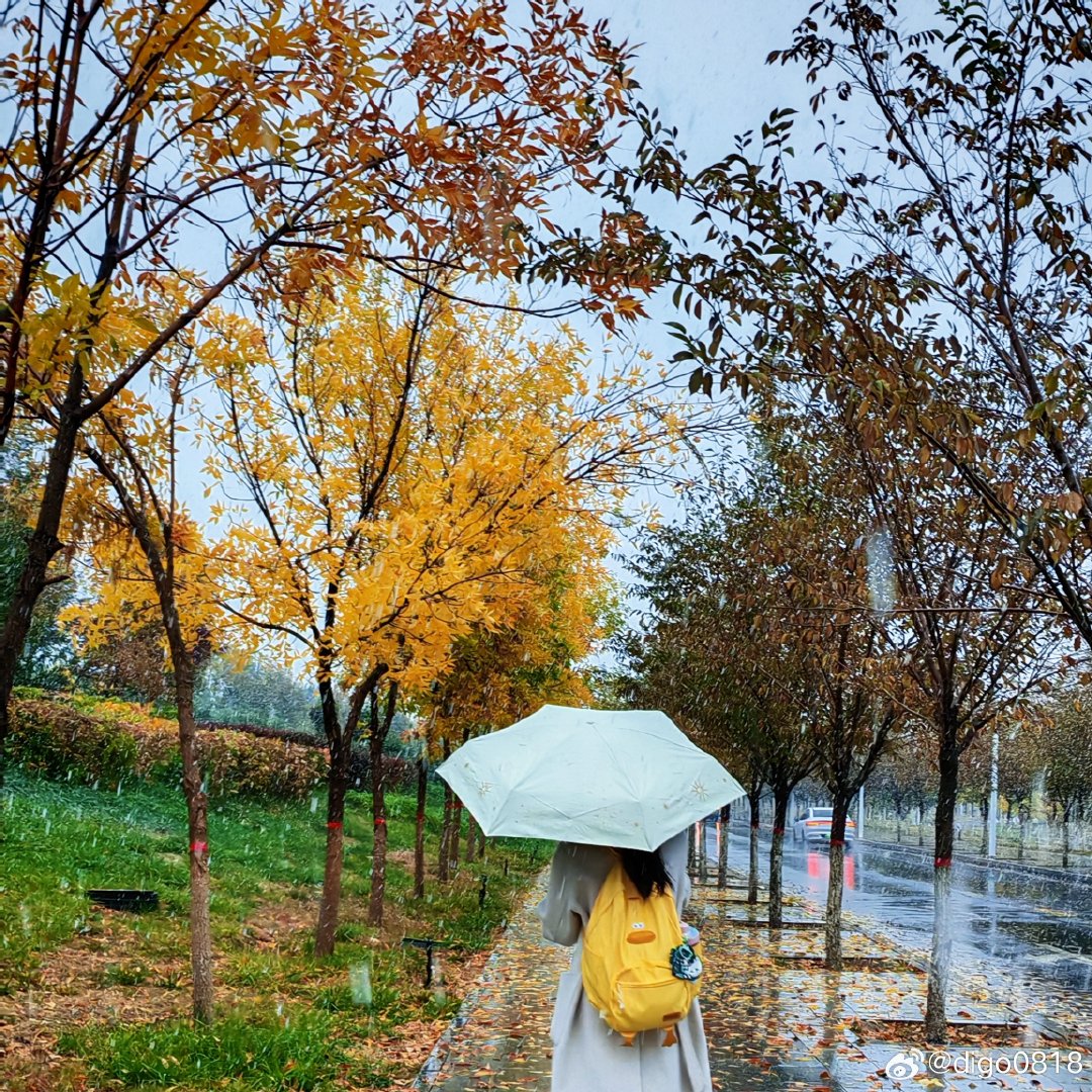 #初雪[超话]#好冷的天！乌鲁木齐的雪好准时，怎么去年今年都是十月十五号#落叶[超话]#  ​