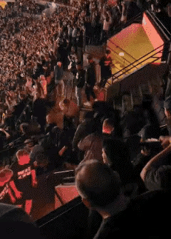 森林狼和掘金在场上激烈的冲突，场下球迷当仁不让，抡起袖子就干！！球迷打架名场面