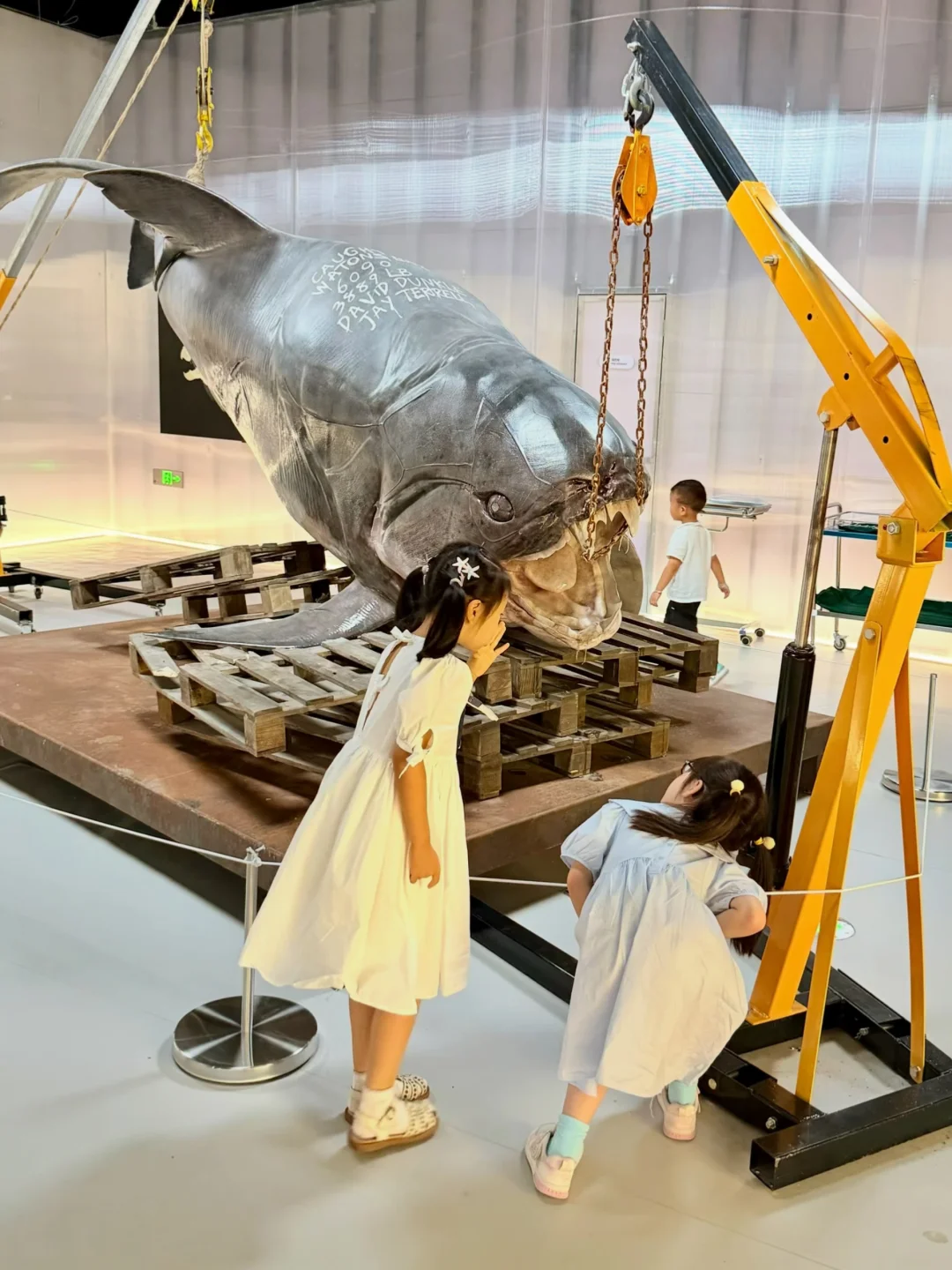 西岸终于又出高质量展‼️黄渤、李现背书