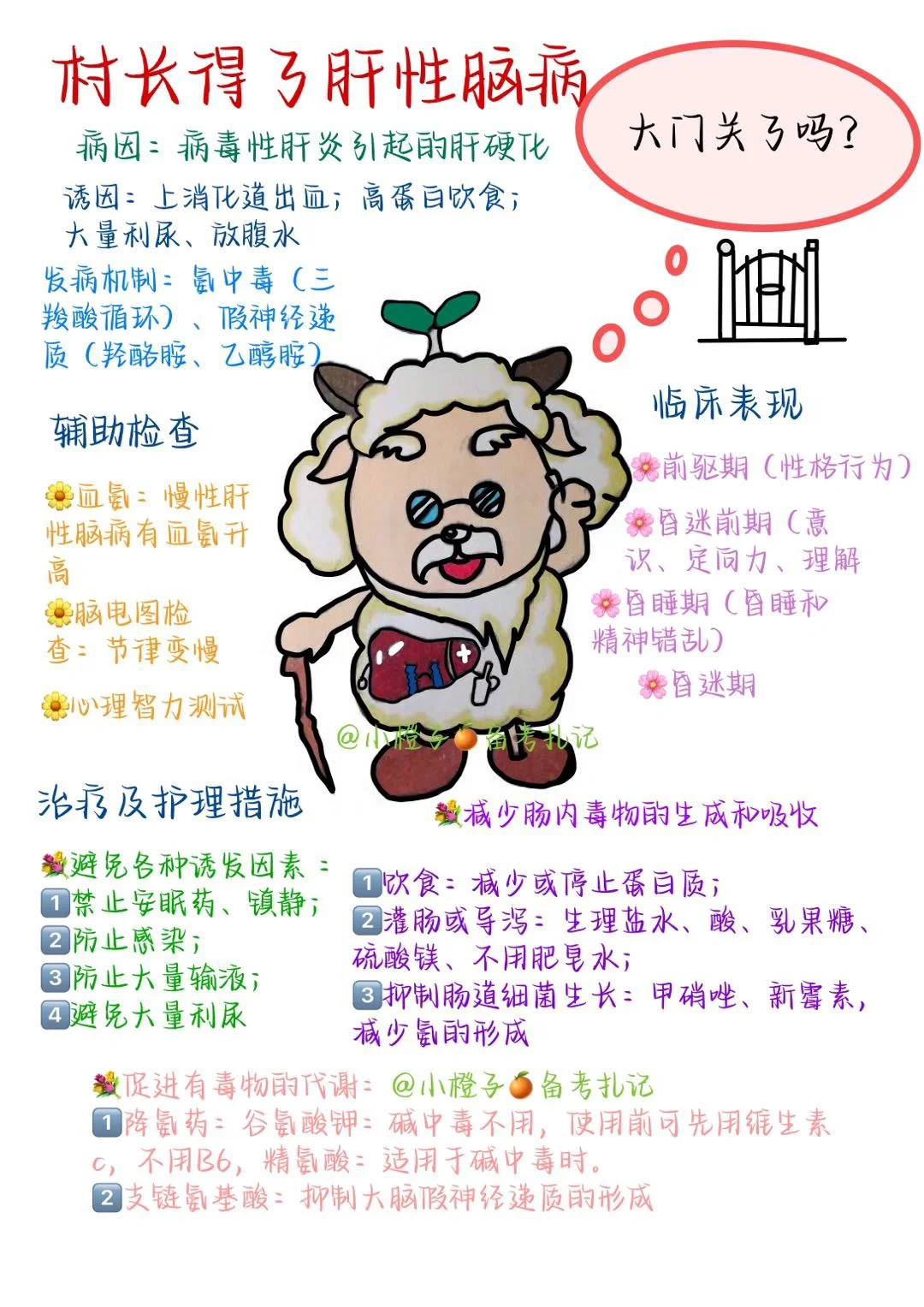 📖护师笔记｜内科护理学｜肝性脑病😫