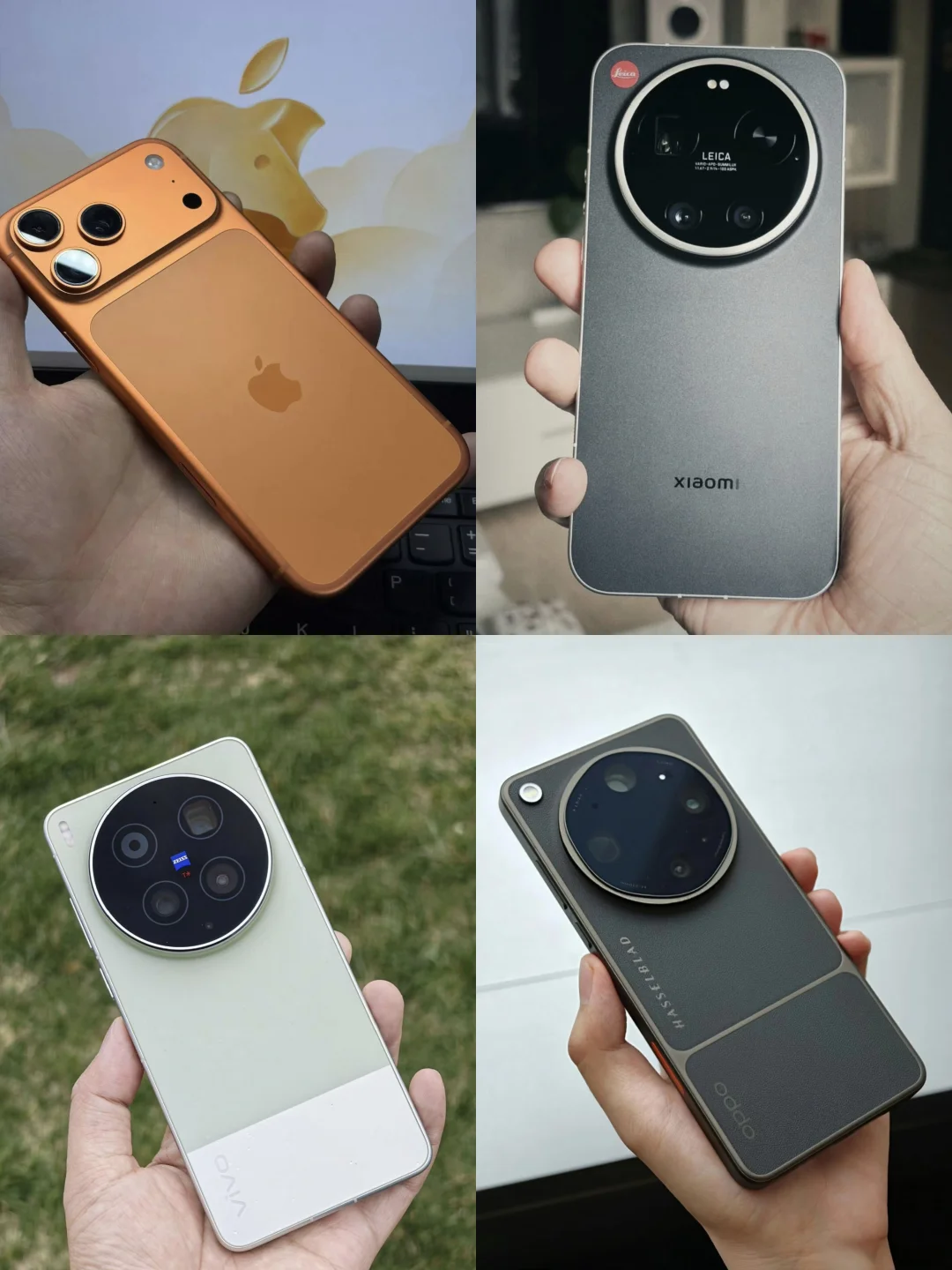 四选一，你会选哪一个？