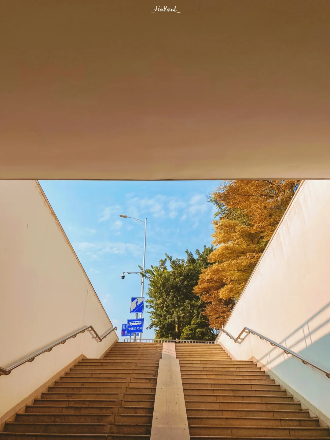 可能每日分享｜厦门也有一小小撮的秋天🍂