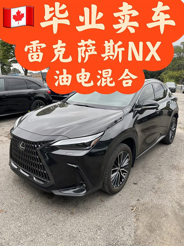 🇨🇦毕业卖车 24年雷克萨斯NX350H油电混合