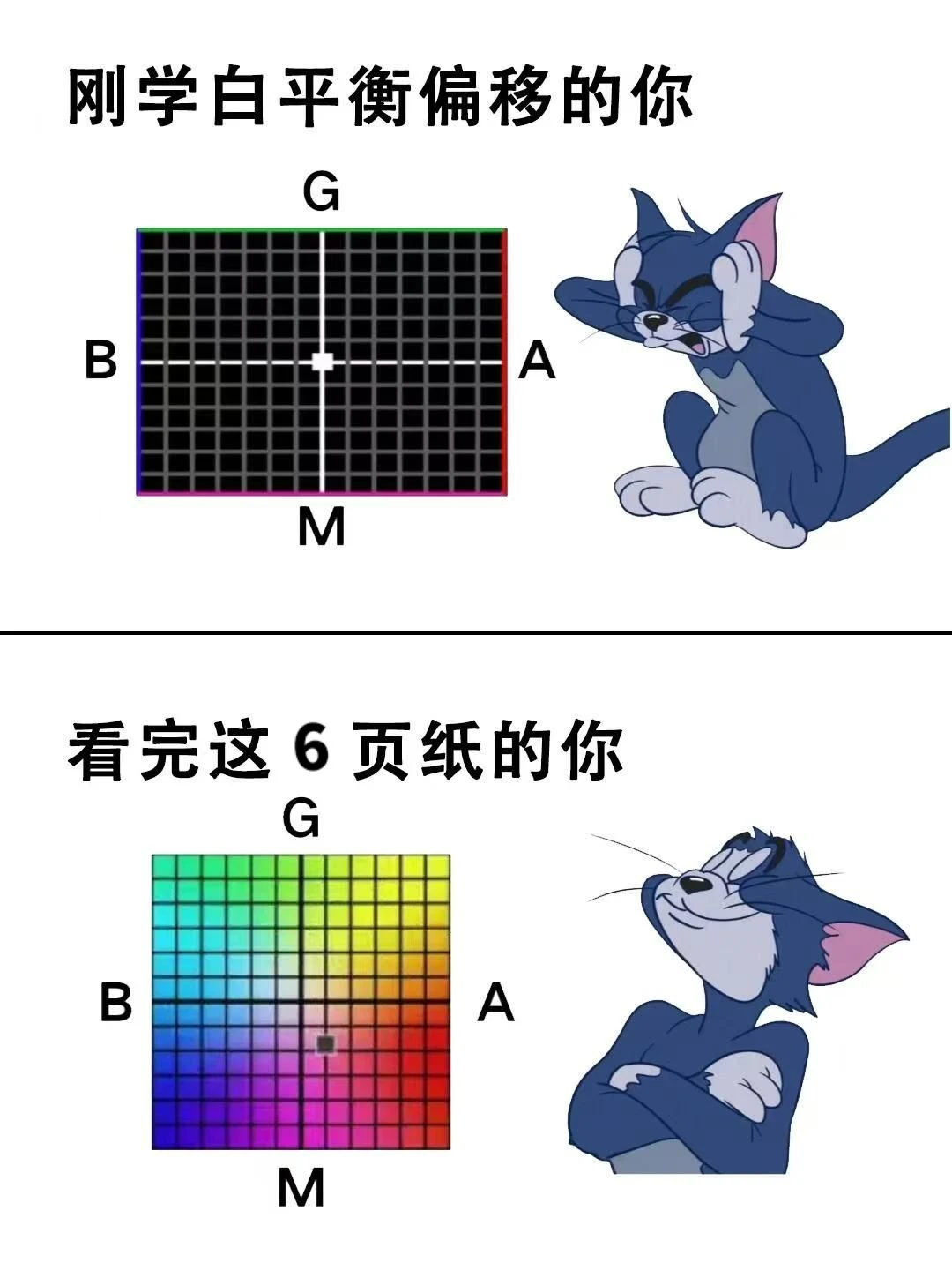 当我学会了白平衡偏移！！