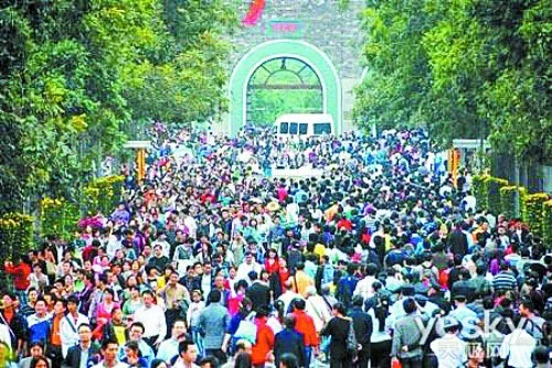 旅游火爆：为何民航还在亏损？