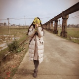 雪萍木棉花的春天