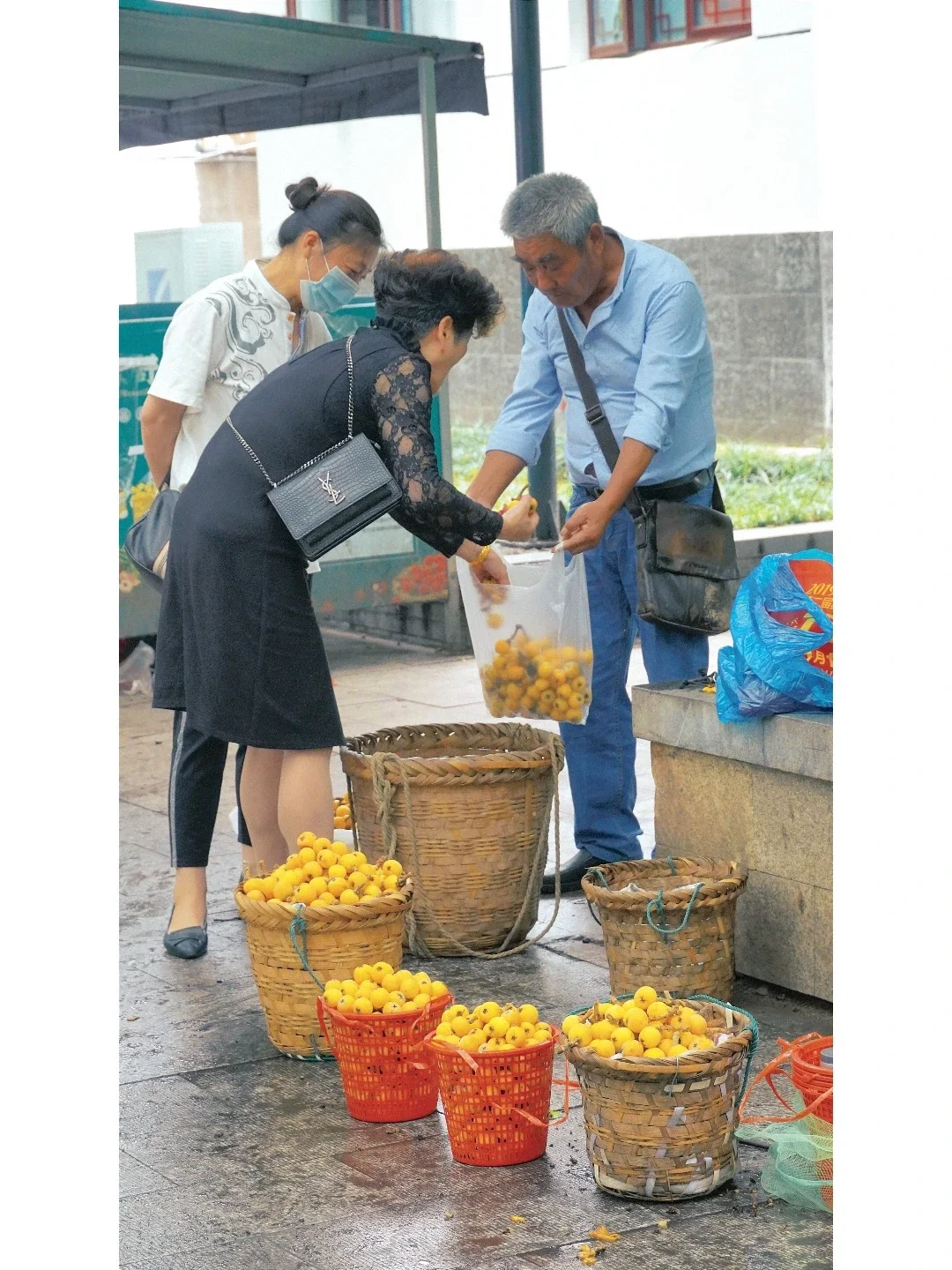 苏州枇杷季| 快来皮市街感受人间烟火气吧❗️