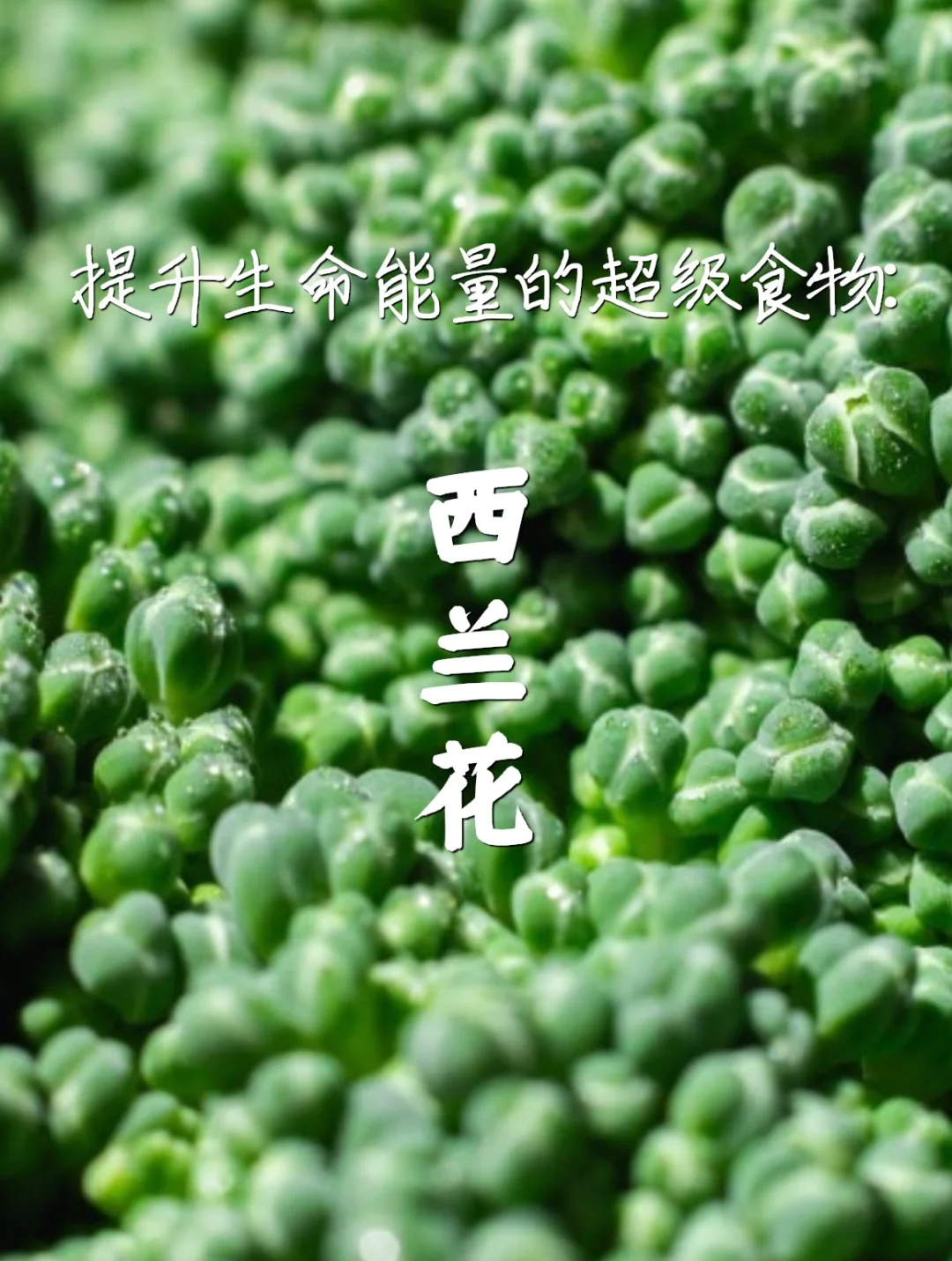 宇宙疗愈食物之：西兰花🥦（人体复合维生素）