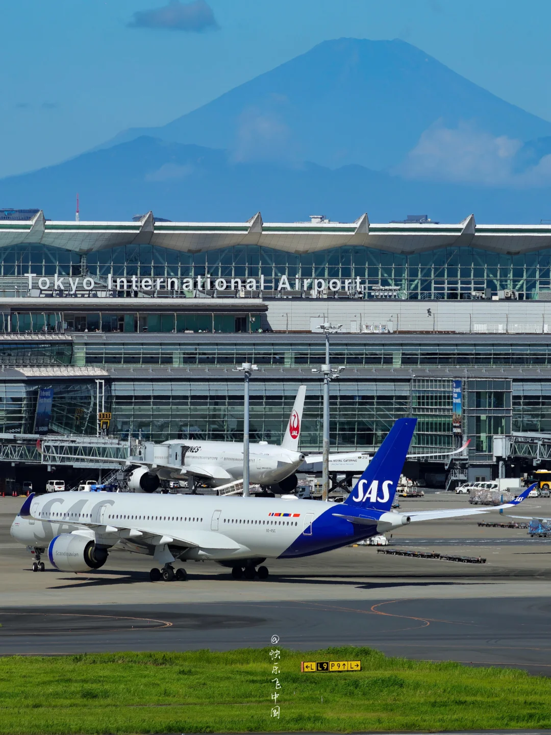 北欧航空6架A350-900，居然是6个海盗❓