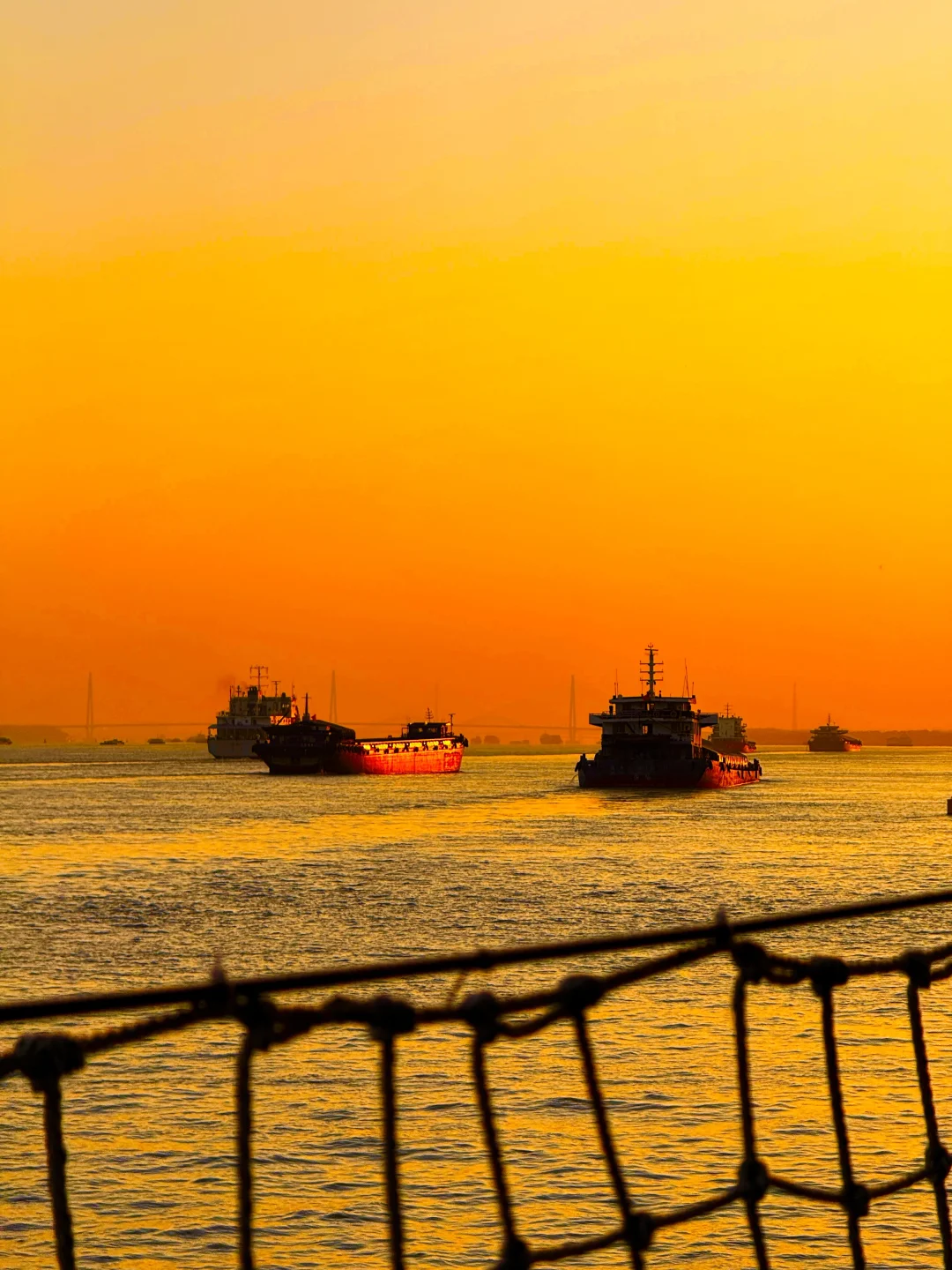 2026.4.4 | 南京的日落已经杀疯了！！！！！！