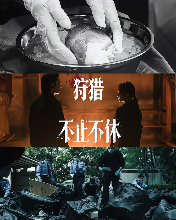 🔥悬疑王炸｜《猎影者》张小斐×于适双强复仇！