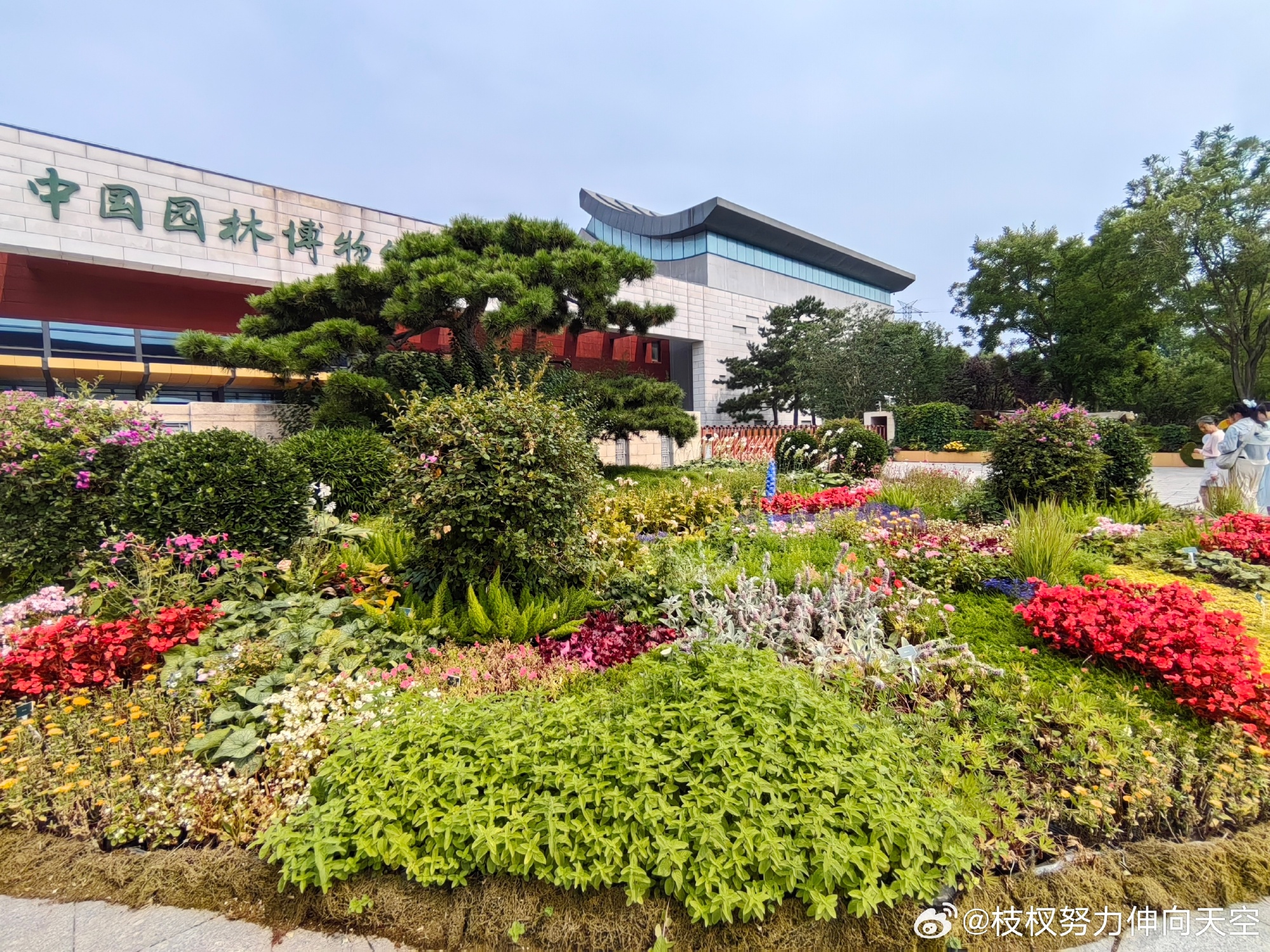 综合实习第2️⃣天(一)  今天的实习地点是中国园林博物馆和天坛公园...