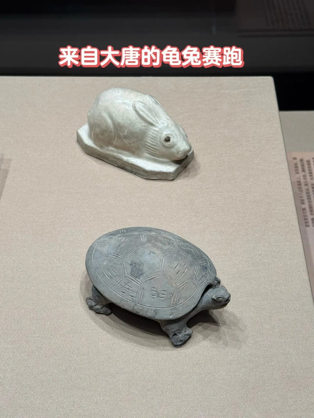 来自大唐的龟兔赛跑