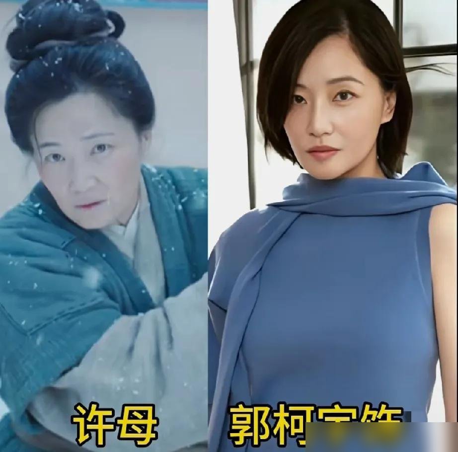 配角把主角饭碗砸了，郭柯宇演个养母，硬是让全网忘了女主是谁。
那场关门戏，没一句台词，就靠着抖动的下巴和死死抠住门框的手，把舍不得和必须舍演绝了。雪地托孤那场，人跪在雪里，眼神是死的，泪是烫的。央视收视同时段第一，站内热度五天破三万，对岸都追疯了。
可偏偏就有拿着放大镜看剧的，扒出经书里藏着手机