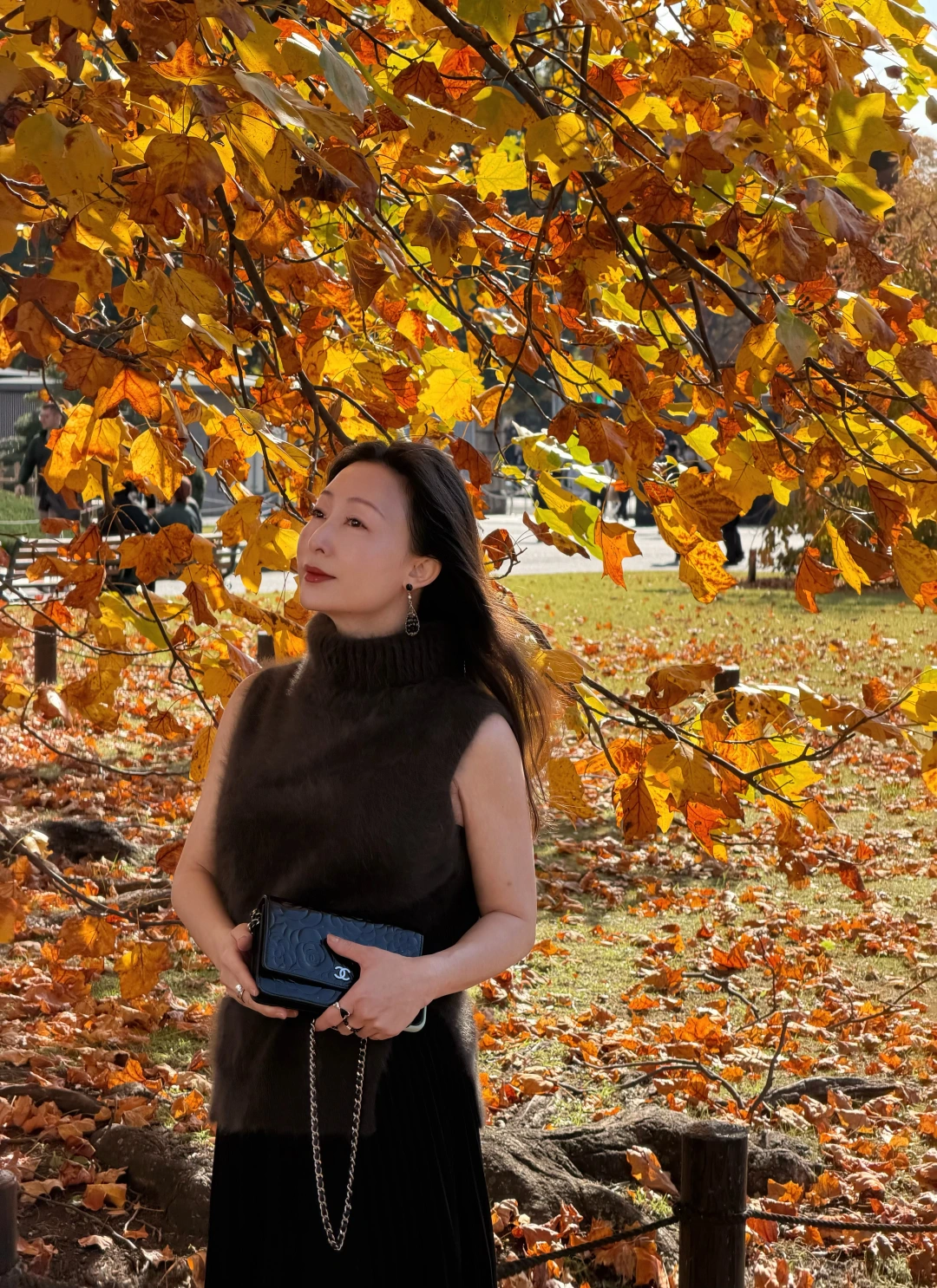 人生的下半场，真的太好过了